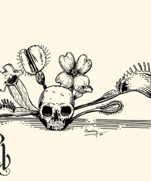 Carolina Carnivores (ocarcar2)