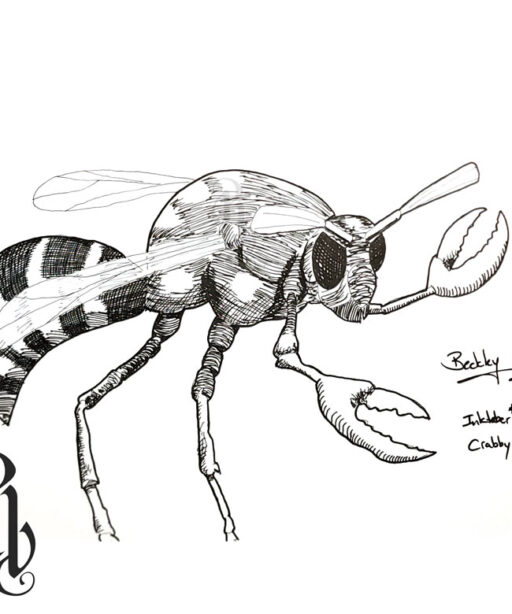 Crabby Original Drawing (ocrabby)