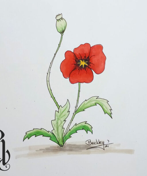 Poppy Original Drawing (opoppy)